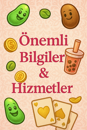Bilgi Görseli